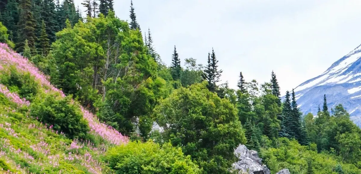 6-Night Inside Passage (Roundtrip Vancouver) Cruise