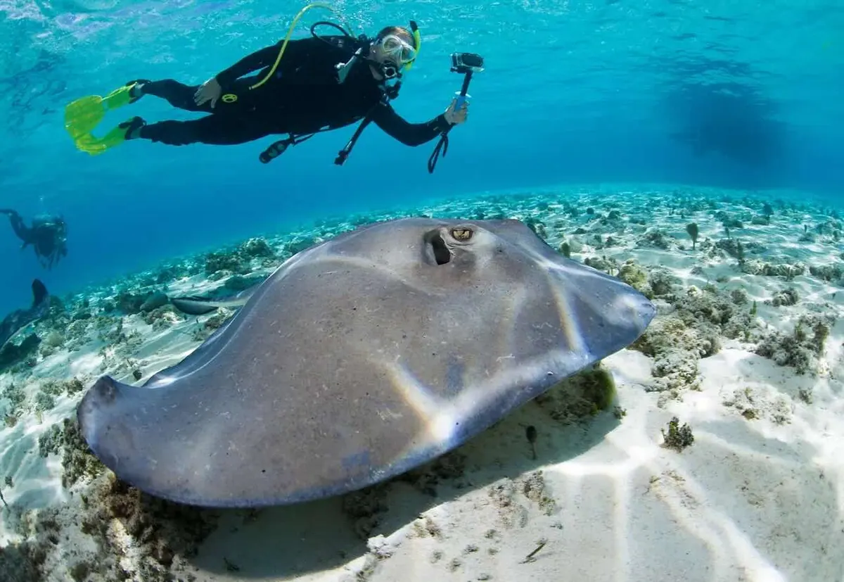 7-Night Eastern Caribbean with Celebration Key Cruise