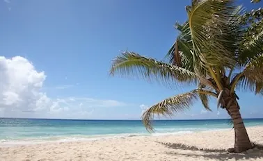 12-Night Southern Caribbean with Panama Cruise