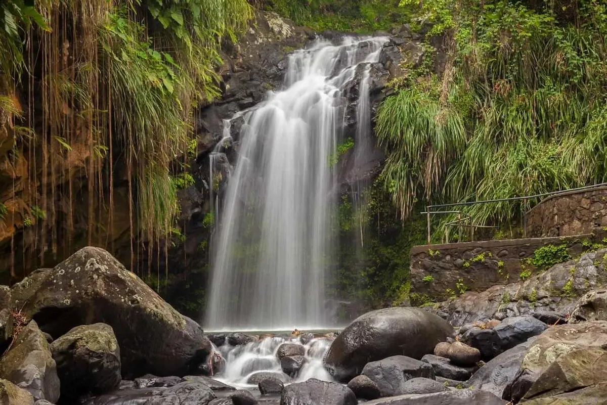 7-Night Southern Caribbean with Barbados and St. Maarten Cruise