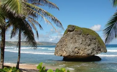 7-Night Southern Caribbean with Barbados and Tortola Holiday Cruise