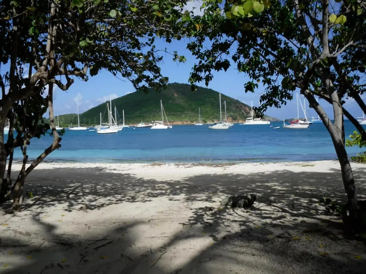 7-Night Southern Caribbean with Barbados and St. Thomas Cruise