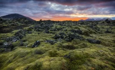 15-Night Fire & Ice Explorer Cruise