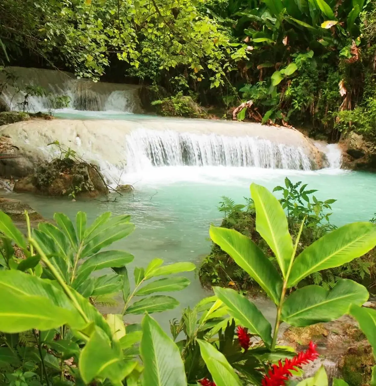 14-Night Fiji & South Pacific Cruise