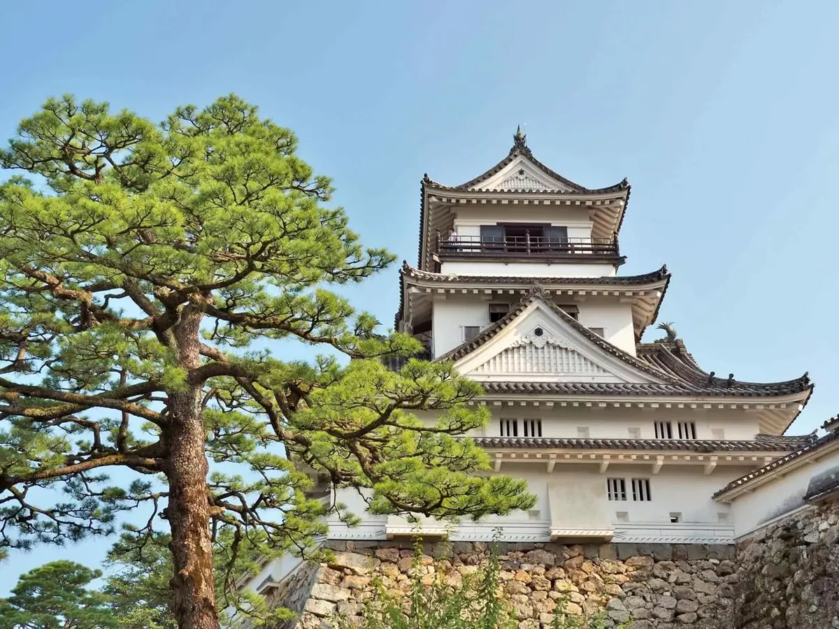 7-Night Japan & Korea Cruise