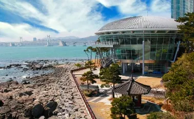 10-Night Japan Explorer Cherry Blossoms Cruise