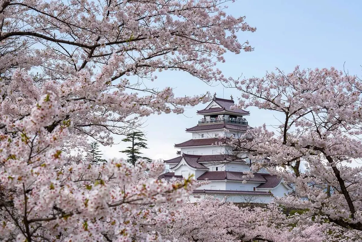 11-Night Japan Explorer Spring Flowers Cruise