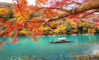 11-Night Japan Explorer Cruise