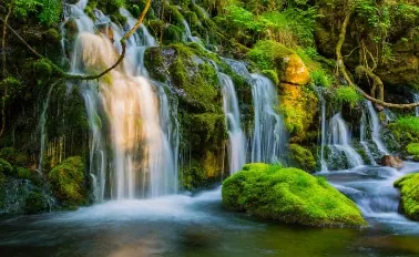 14-Night Circle Japan with Summer Festivals Cruise