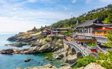 16-Night Grand Circle Japan Cherry Blossoms Cruise