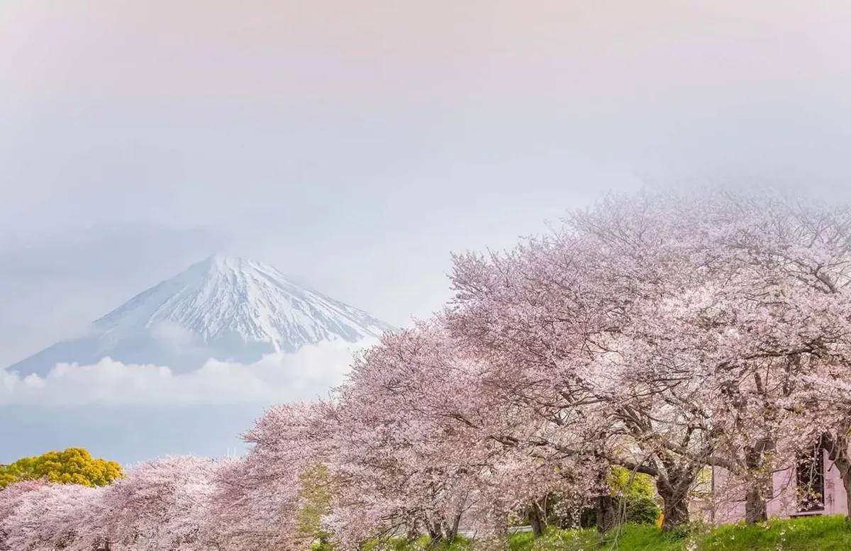 17-Night Grand Japan Cruise