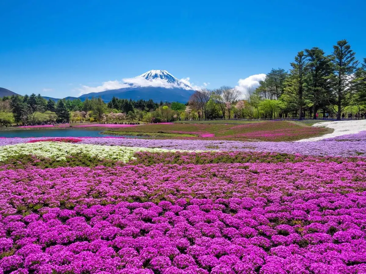 18-Night Grand Japan Cruise