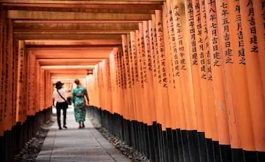 20-Night Grand Japan with Kumano Fireworks Cruise
