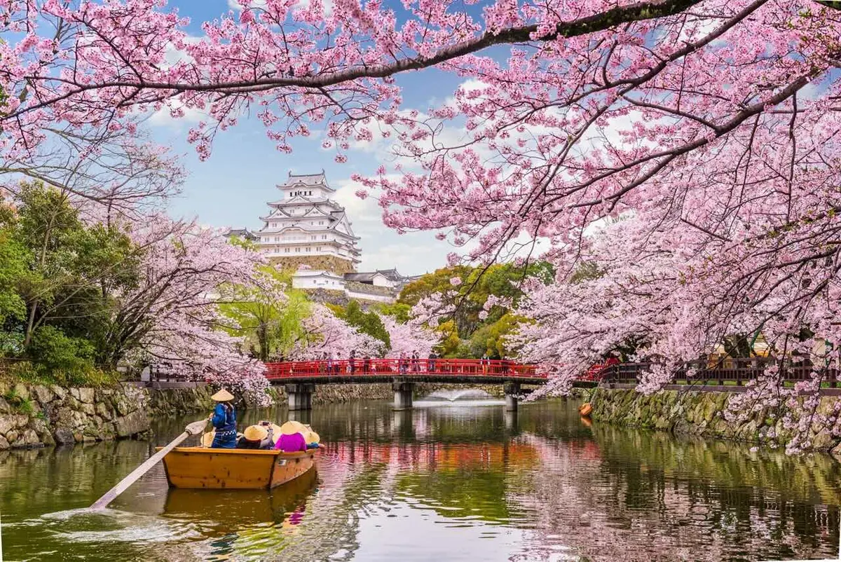 20-Night Grand Circle Japan Cherry Blossoms Cruise