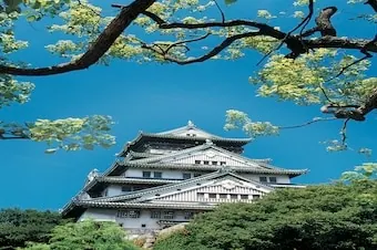 20-Night Grand Circle Japan with Summer Festivals & Kumano Fireworks Cruise