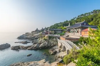 22-Night Grand Circle Japan Cruise