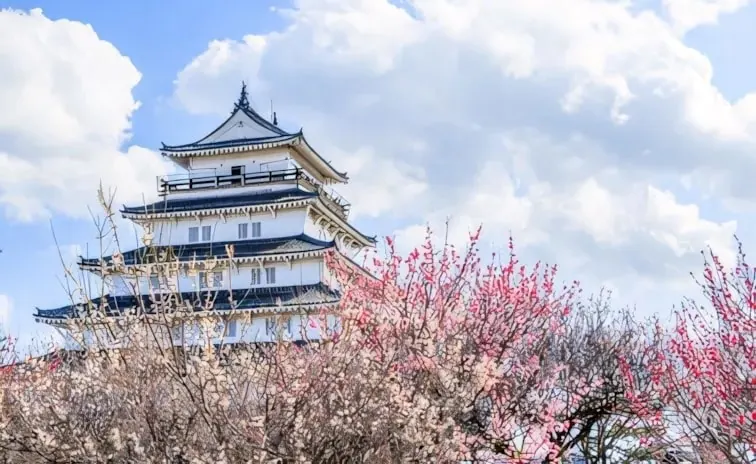 23-Night Grand Circle Japan Cherry Blossoms Cruise