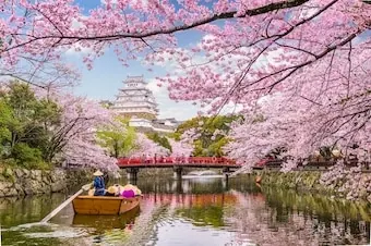 25-Night Grand Japan with Okinawa & Taiwan Cherry Blossoms Cruise