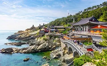 9-Night Japan Explorer Cruise