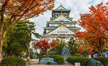 9-Night Hokkaido Cherry Blossoms Cruise