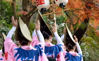 9-Night Circle Japan Cruise