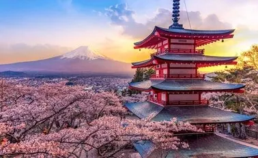 12-Night Circle Japan Cherry Blossoms Cruise