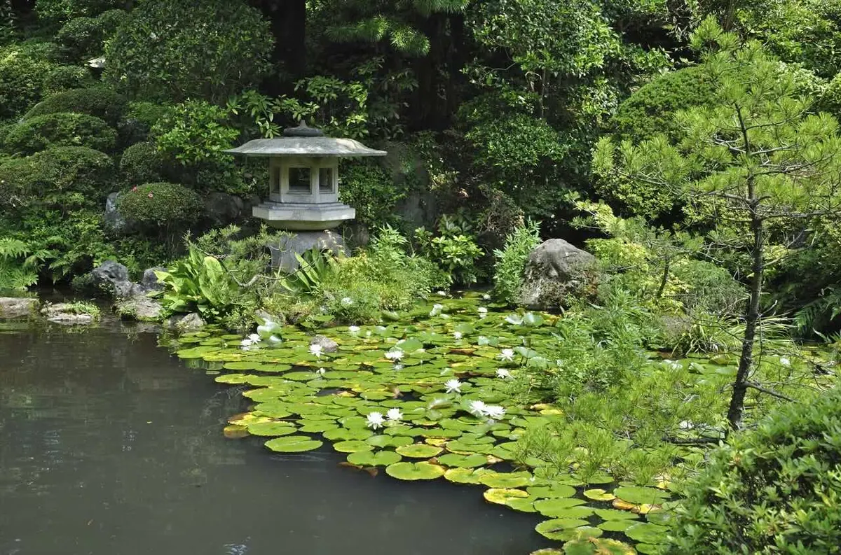 14-Night Grand Japan with Fall Foliage Cruise