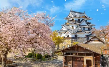 20-Night Grand Circle Japan Cruise