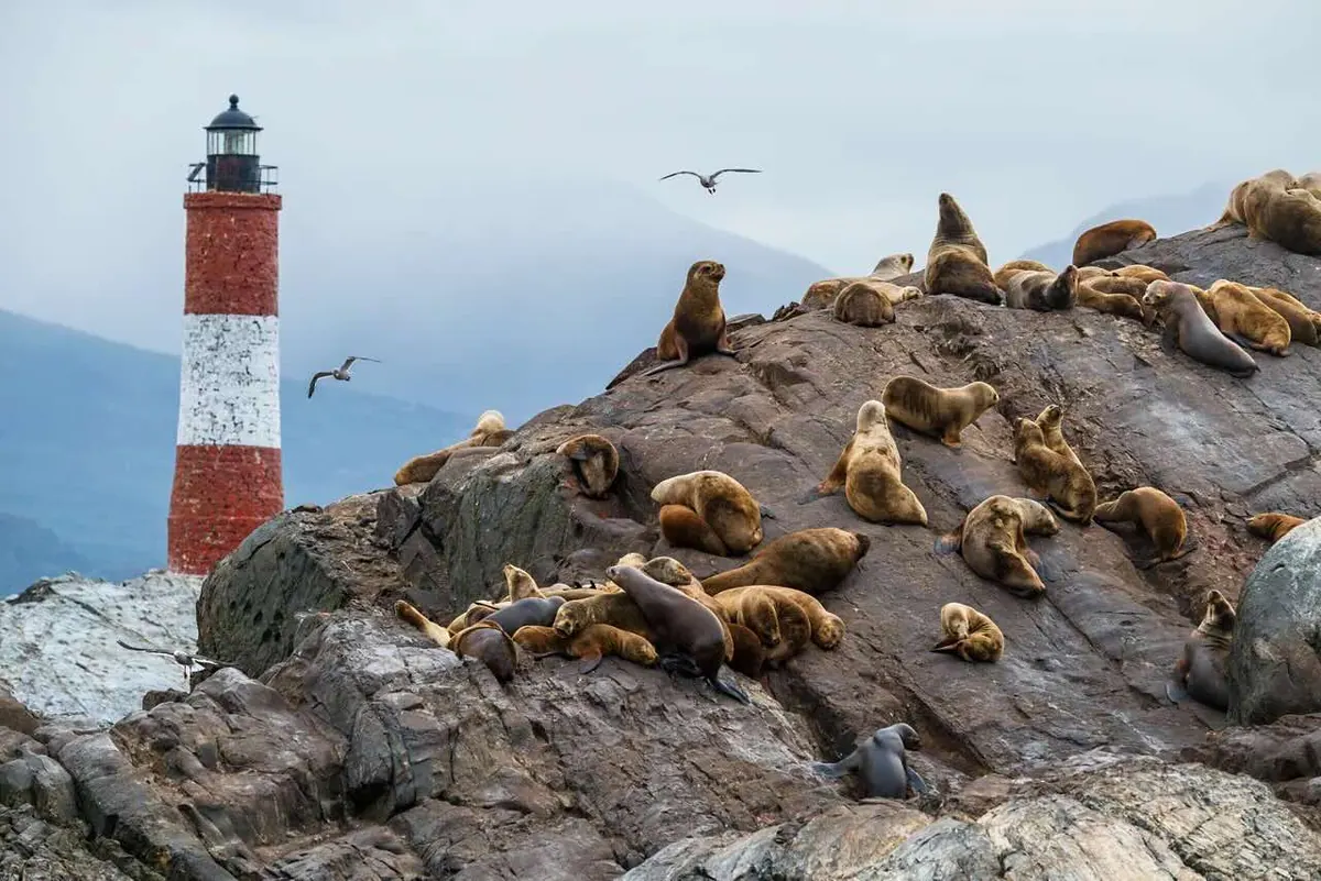 15-Night Cape Horn & Glaciers of Patagonia Cruise
