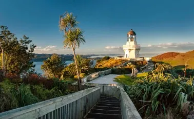 14-Night New Zealand Cruise
