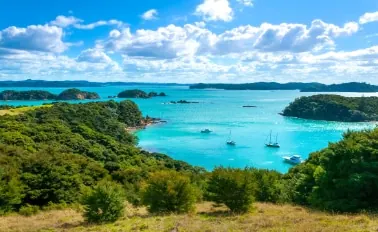 5-Night New Zealand Seacation Cruise