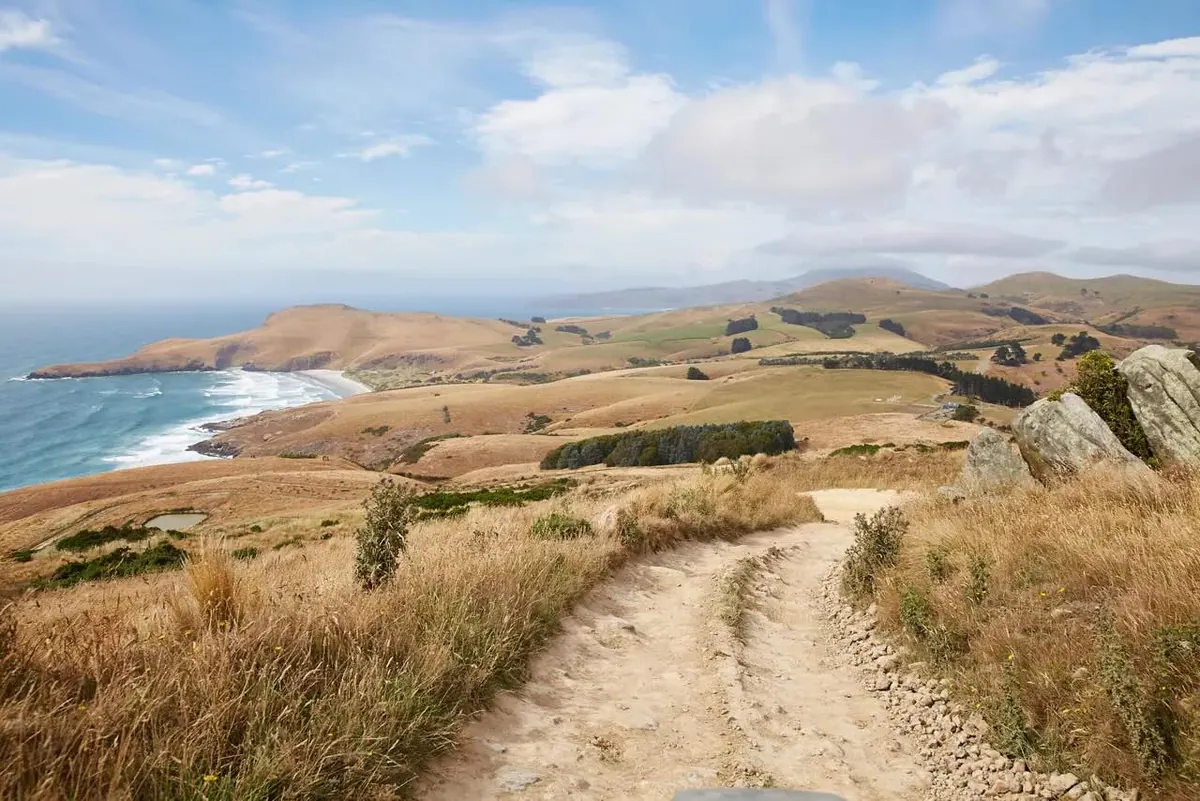 15-Night Australia & New Zealand Cruise