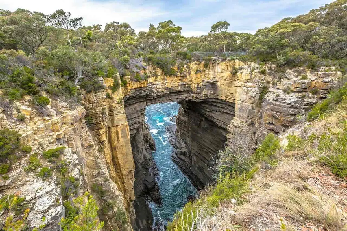 6-Night Tasmania Cruise