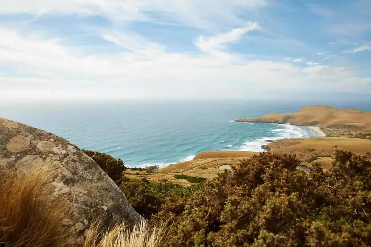 15-Night New Zealand Cruise