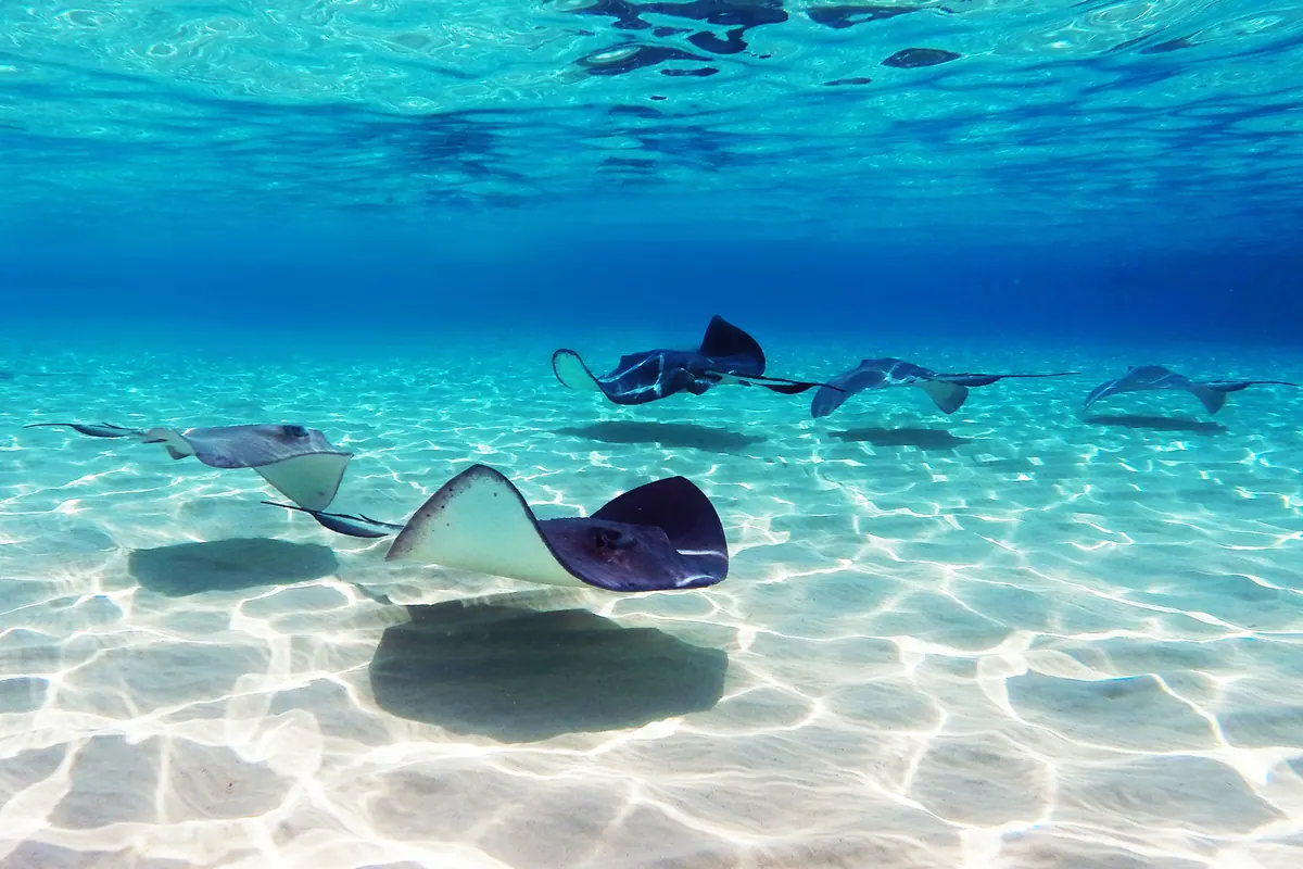 9-Night Cape Liberty To Miami Cruise