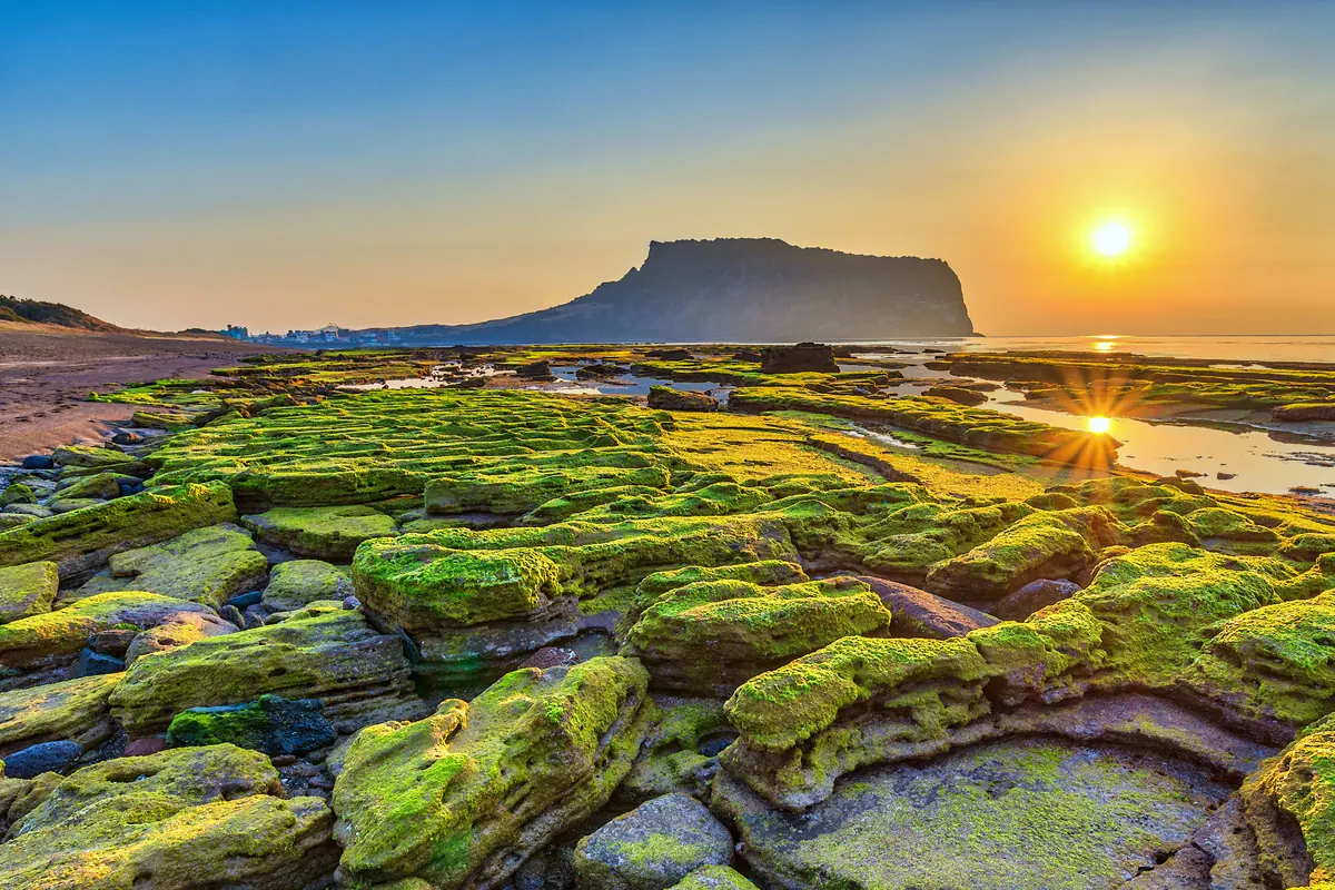 4-Night Jeju Cruise