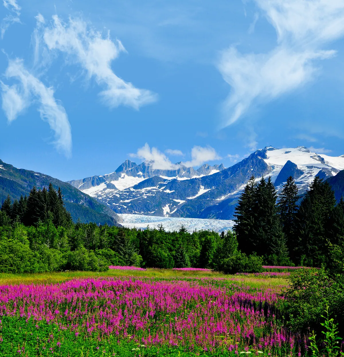 7-Night Alaska Experience Cruise