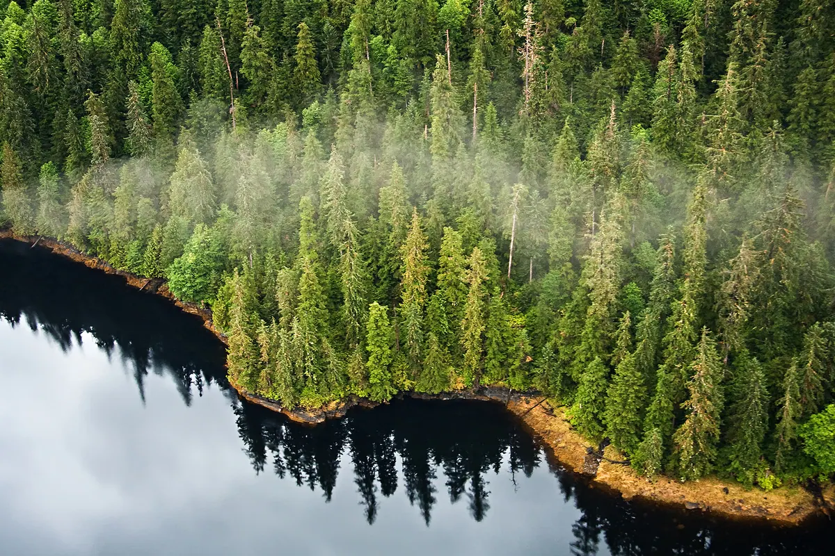 4-Night Alaska Experience Cruise