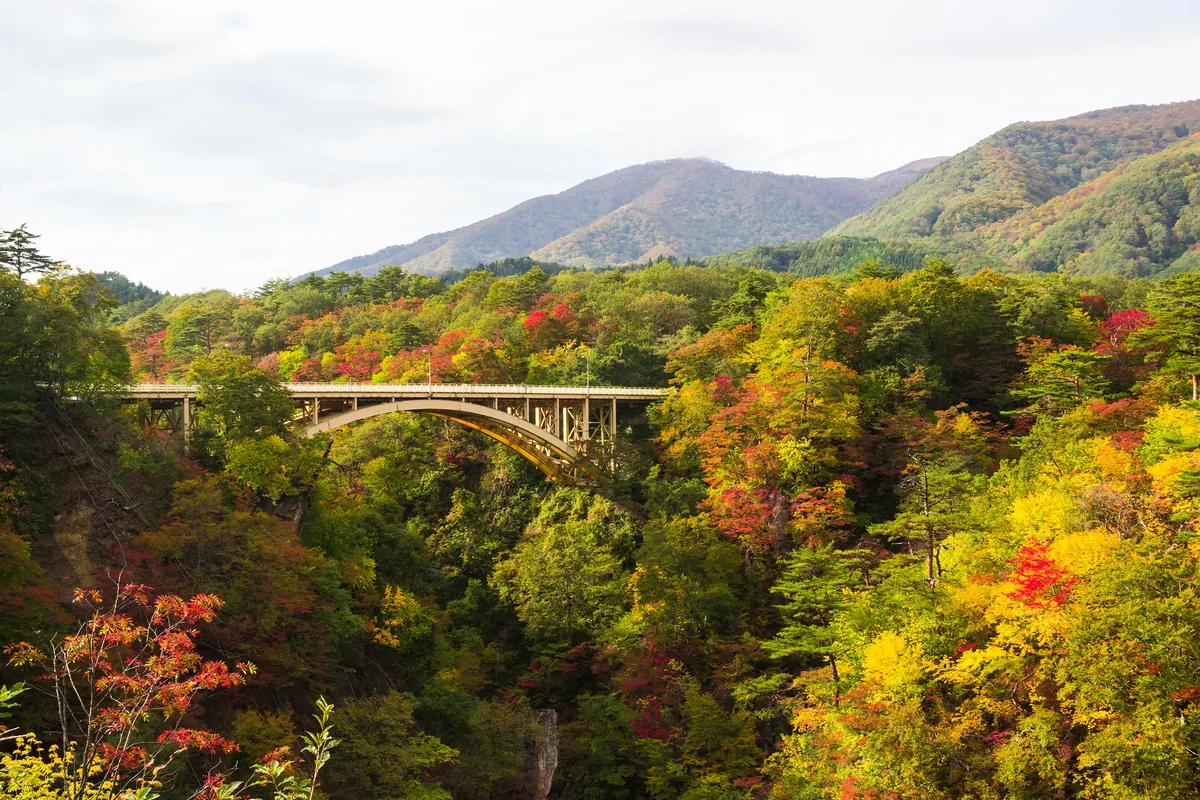 8-Night Kobe & Tokyo Overnights Cruise