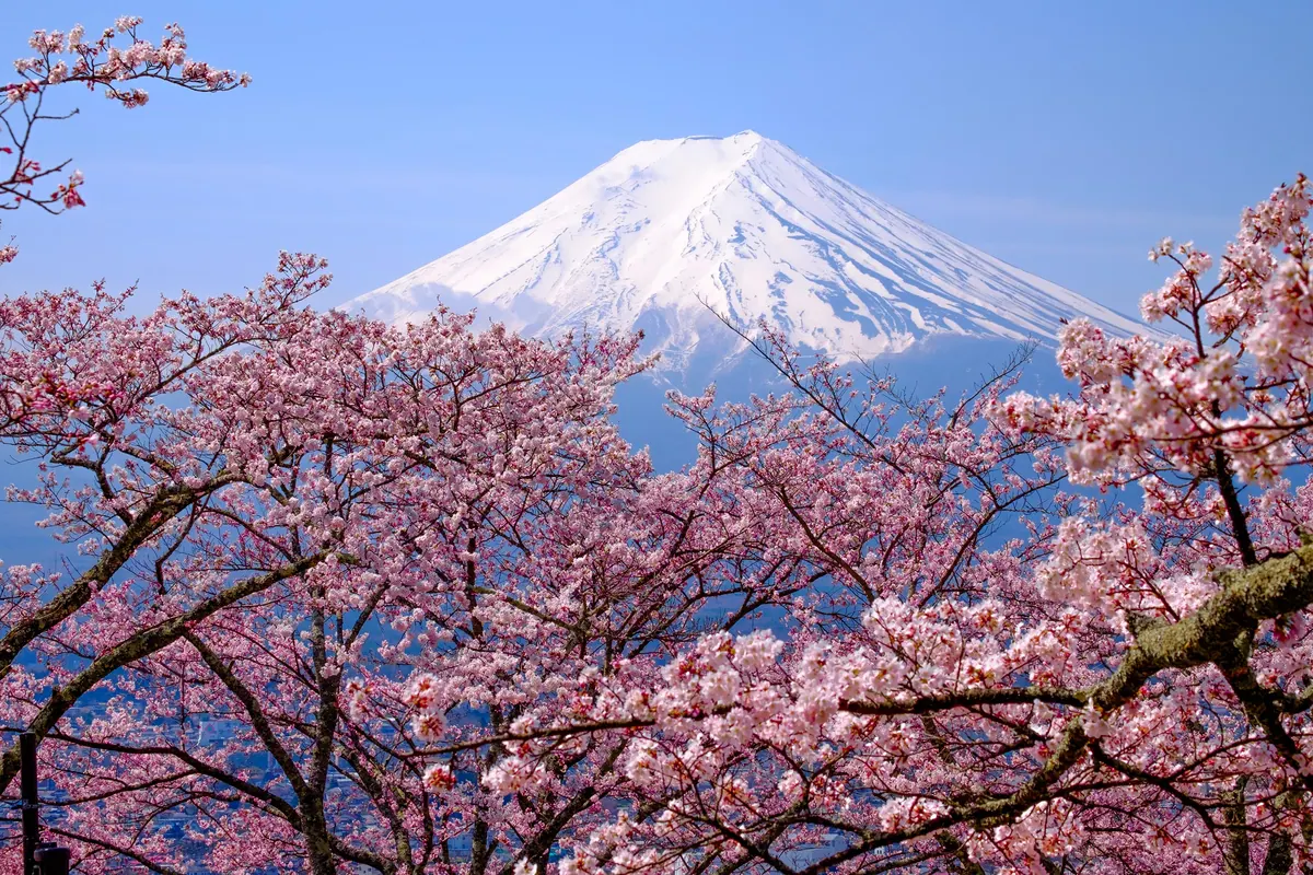 17-Night Tokyo To Los Angeles Cruise