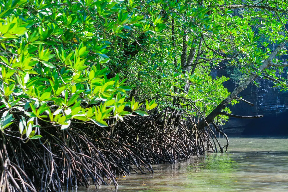 5-Night Penang, Phuket & Langkawi Cruise