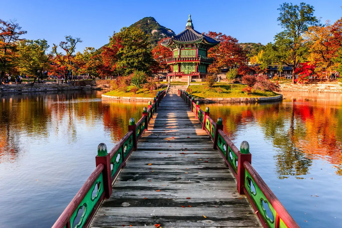 4-Night Seoul Cruise