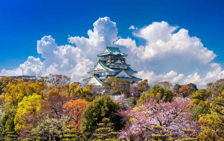 Discover South Korea & Japan