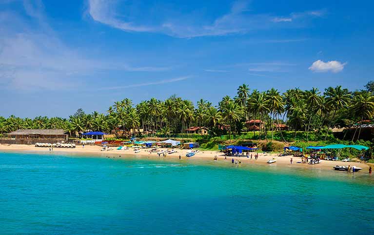 The Acacia Morjim Goa