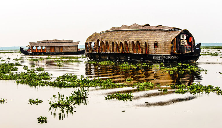 Backwater Serenity