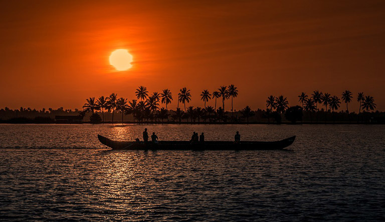 Coconut Holiday
