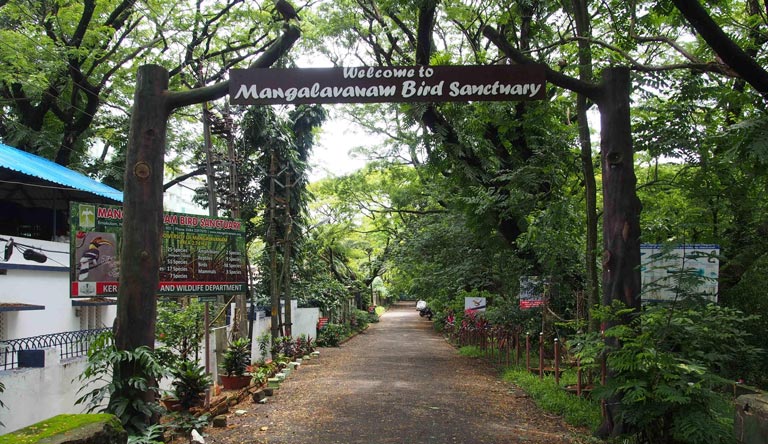 Soak into the Mesmerising Tropical World at Trident Kochi