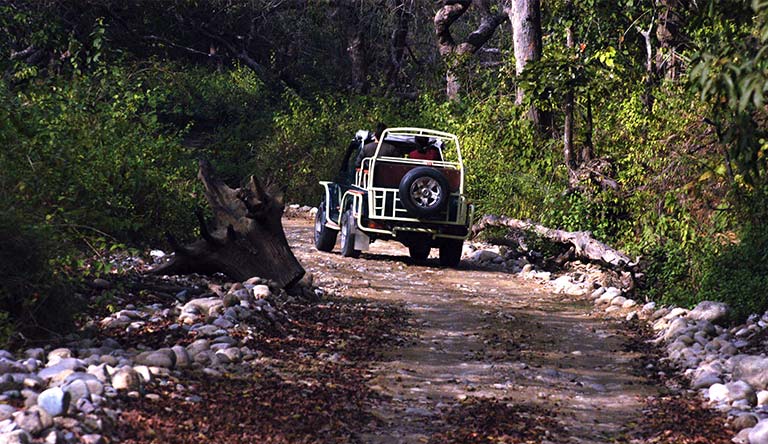 Xperience Uttrakhand - Himalaya and Wildlife