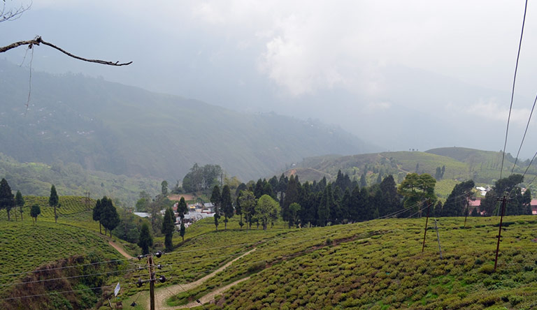 Jewels of the North East- Gangtok & Darjeeling