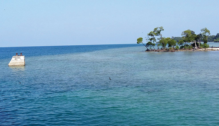 Amazing Holidays in Andaman